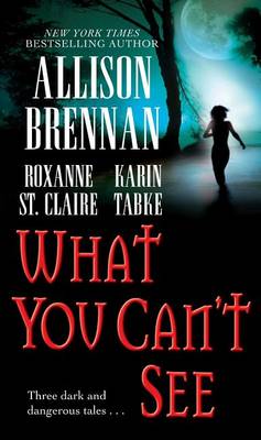 What You Can't See book