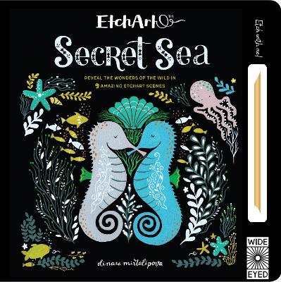 Etchart: Secret Sea book