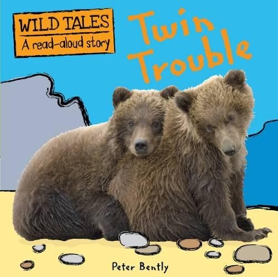 Twin Trouble book