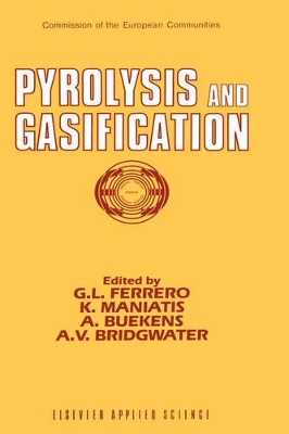 Pyrolysis and Gasification book