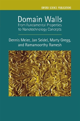 Domain Walls: From Fundamental Properties to Nanotechnology Concepts book