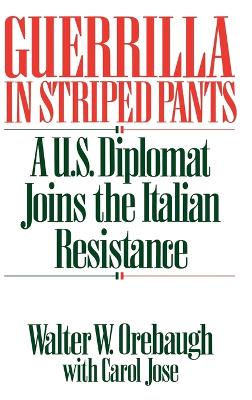 Guerrilla in Striped Pants book