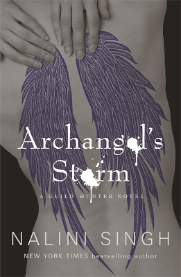 Archangel's Storm book