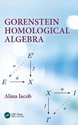 Gorenstein Homological Algebra book