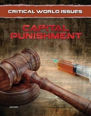 Capital Punishment book
