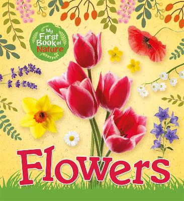 My First Book of Nature: Flowers book