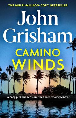 Camino Winds: The Ultimate Murder Mystery from the Greatest Thriller Writer Alive book