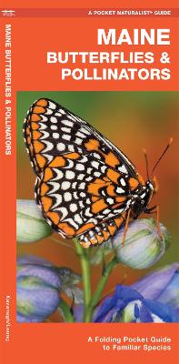 Maine Butterflies & Pollinators: A Folding Pocket Guide to Familiar Species by James Kavanagh