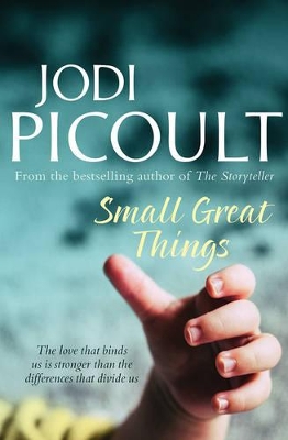 Small Great Things book