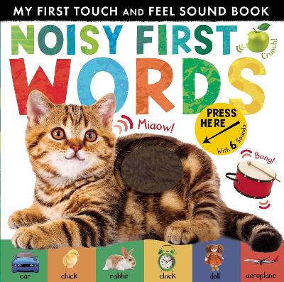 Noisy First Words: My First Touch and Feel Sound Book book