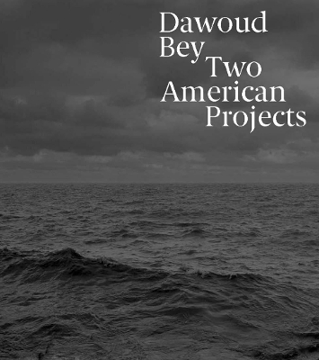 Dawoud Bey: Two American Projects book