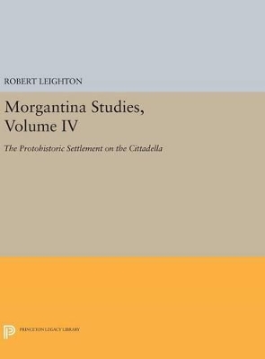 Morgantina Studies, Volume IV book