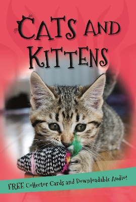 It's all about... Cats and Kittens book