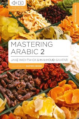 Mastering Arabic 2 book