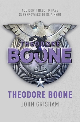 Theodore Boone book