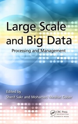 Large Scale and Big Data book