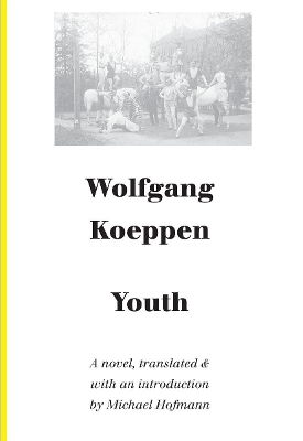 Youth - A Novel book