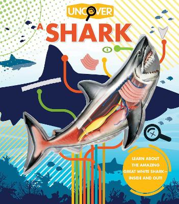 Uncover a Shark book