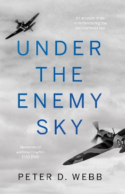 Under the Enemy Sky book