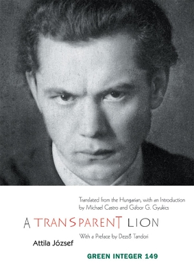 Transparent Lion book