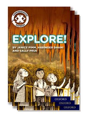 Project X Comprehension Express: Stage 1: Explore! Pack of 15 book