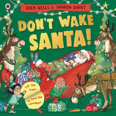 Don't Wake Santa: A lift-the-flap Christmas book book