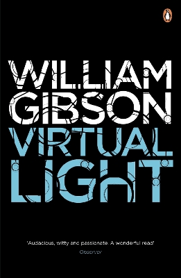 Virtual Light book