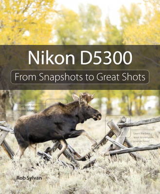 Nikon D5300 book