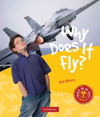 Why Does it Fly? book