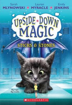 Sticks & Stones (Upside-Down Magic #2) book
