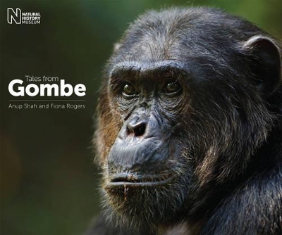 Tales from Gombe book