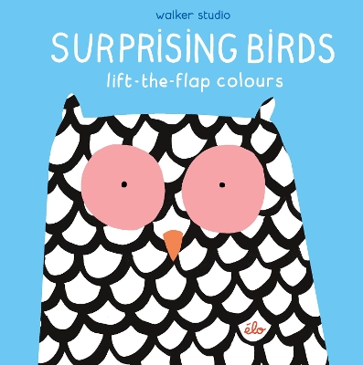 Surprising Birds: Lift-the-Flap Colours book