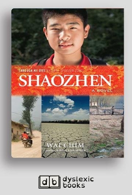 Shaozhen: Through My Eyes - Natural Disaster Zones by Wai Chim