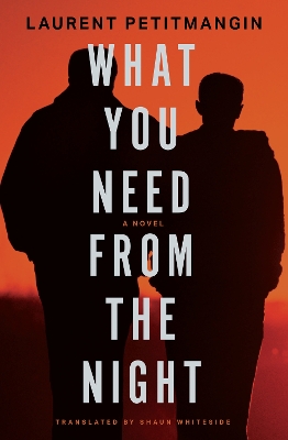 What You Need from the Night: A Novel by Laurent Petitmangin