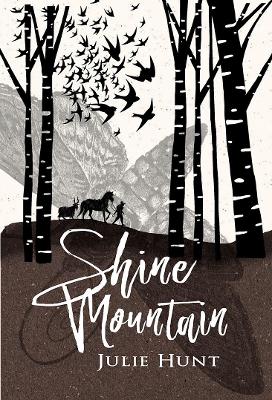 Shine Mountain book