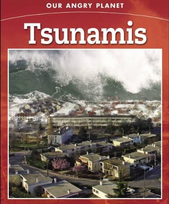 Tsunami! book