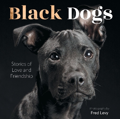 Black Dogs: Stories of Love and Friendship book