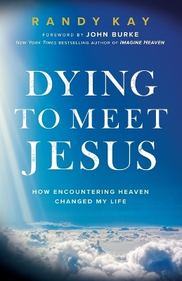 Dying to Meet Jesus: How Encountering Heaven Changed My Life book