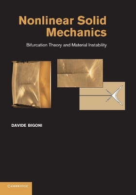 Nonlinear Solid Mechanics by Davide Bigoni