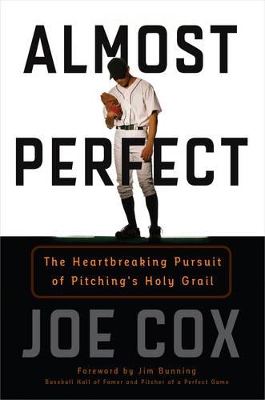 Almost Perfect by Joe Cox