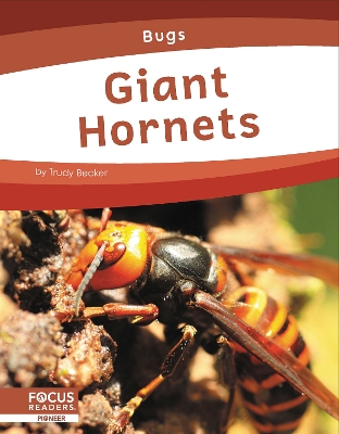 Bugs: Giant Hornets book