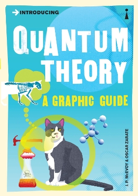 Introducing Quantum Theory book