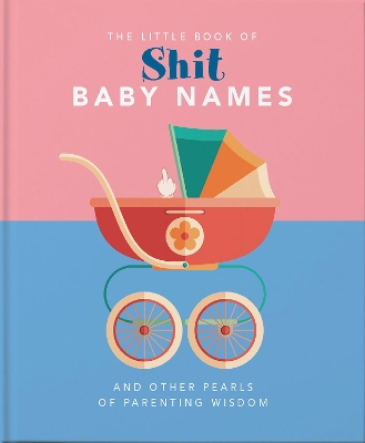 The Little Book of Shit Baby Names: And Other Pearls of Parenting Wisdom book