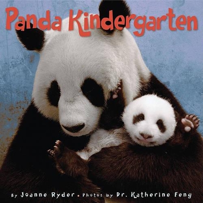 Panda Kindergarten book