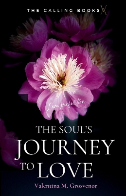 The Soul's Journey to Love book