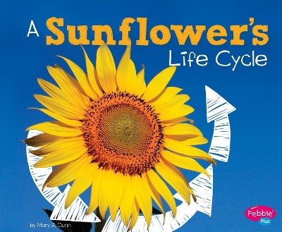 A Sunflower's Life Cycle by Mary R Dunn