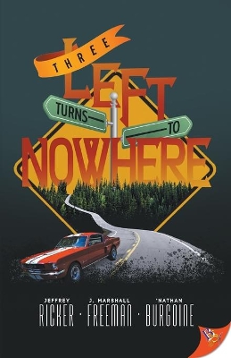 Three Left Turns to Nowhere book