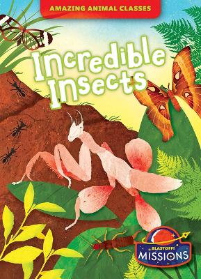 Incredible Insects book