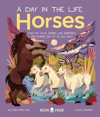 Horses (a Day in the Life): What Do Wild Horses Like Mustangs and Ponies Get Up to All Day? by Carly Anne York