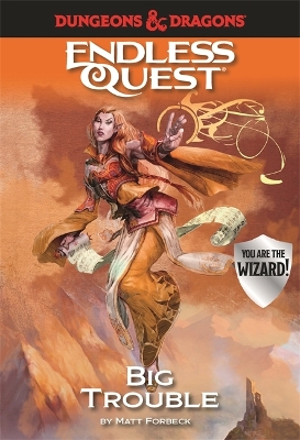 D&D Endless Quest: Big Trouble book